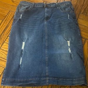 The Mainstreet Exchange Denim Skirt